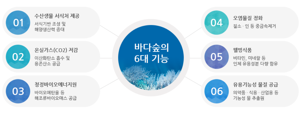 바다;숲 이미지