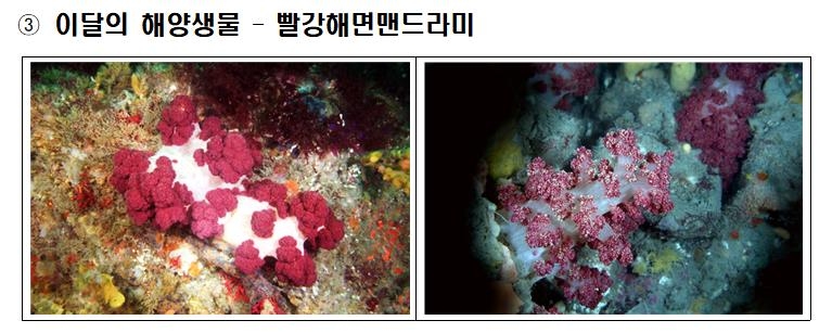 꽃게마을 이미지