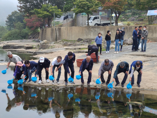 백운면 이미지