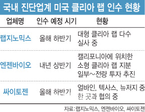 클리아 이미지