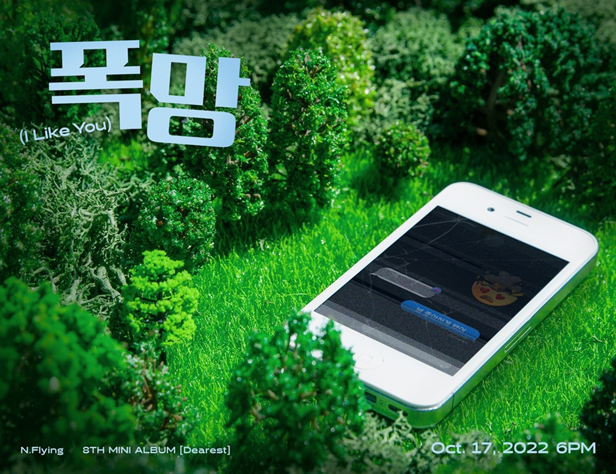 플라잉 이미지