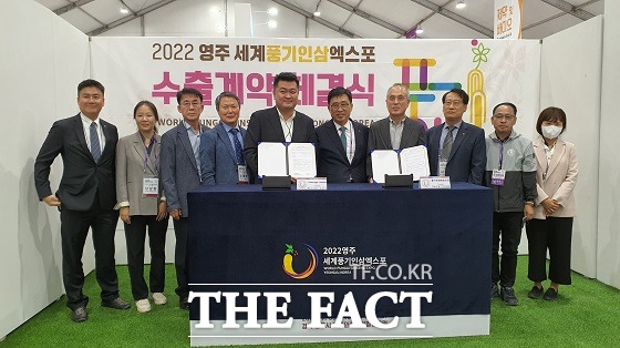 풍기진생 이미지