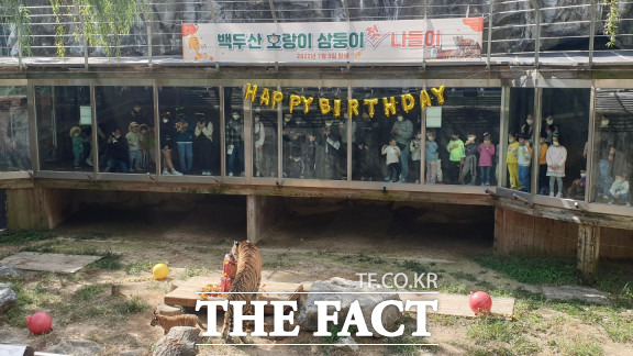 호랑이사진관 이미지