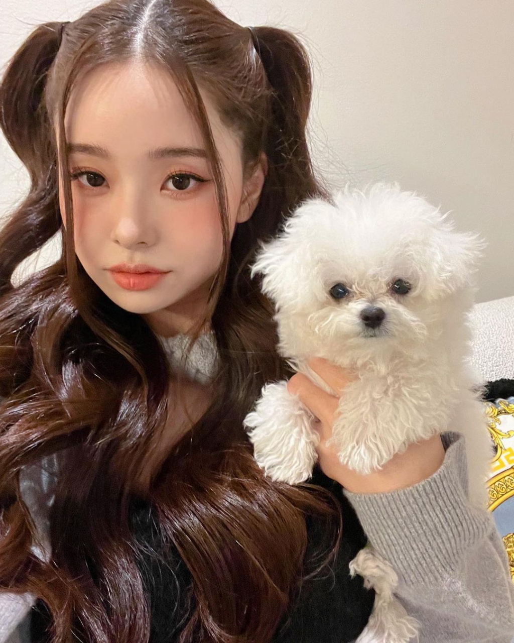 프리지아 이미지