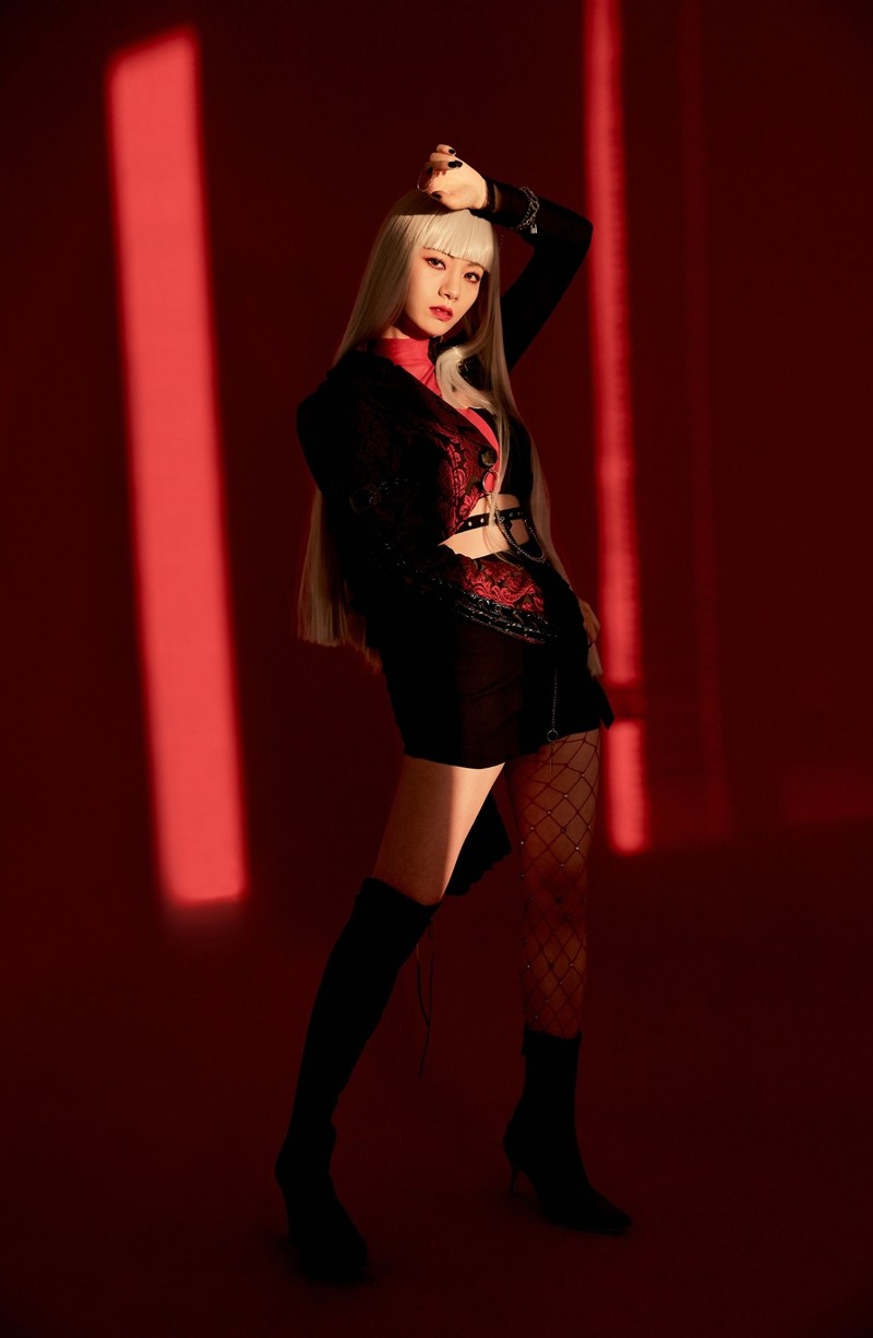 라온제이 이미지
