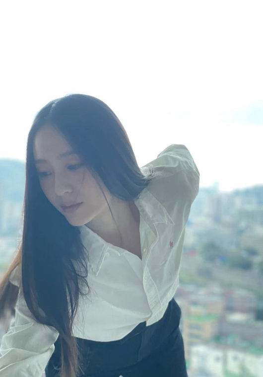 크리스탈장 이미지