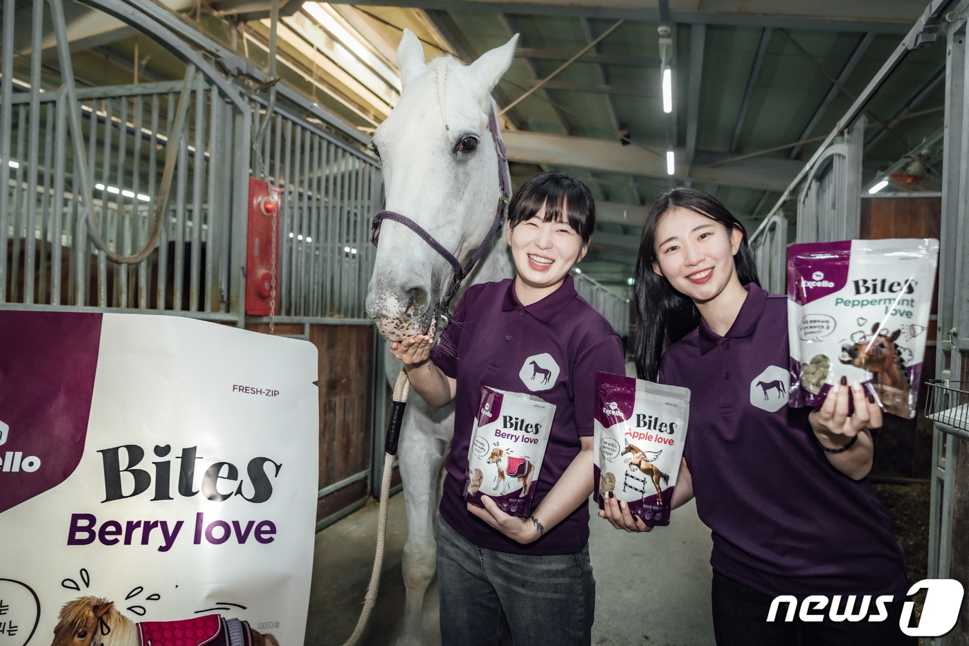 지창욱과 이마다 미오 메리 베리 러브! 중간 이미지