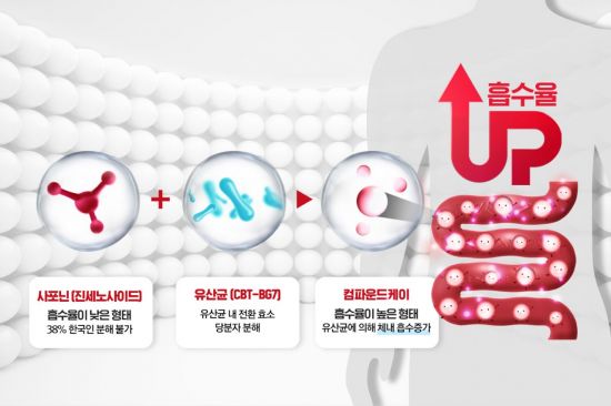 (주)쎌바이오텍 이미지