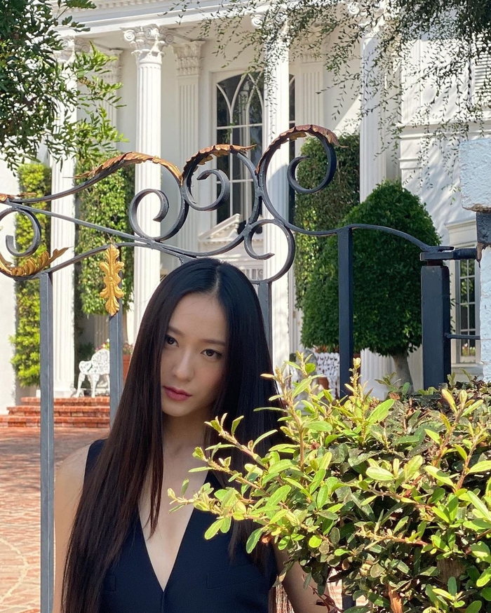 크리스탈장 이미지