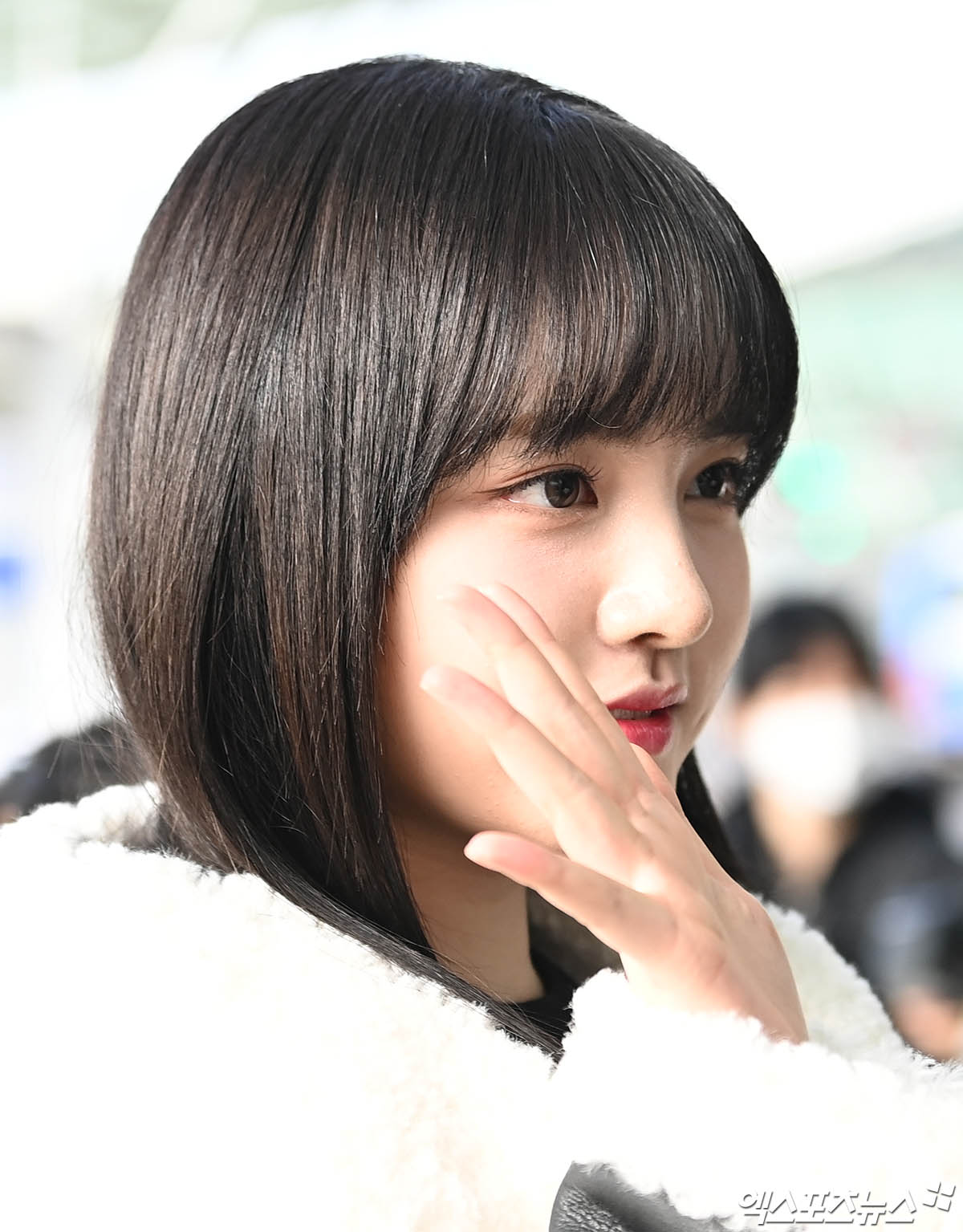 리즈 이미지