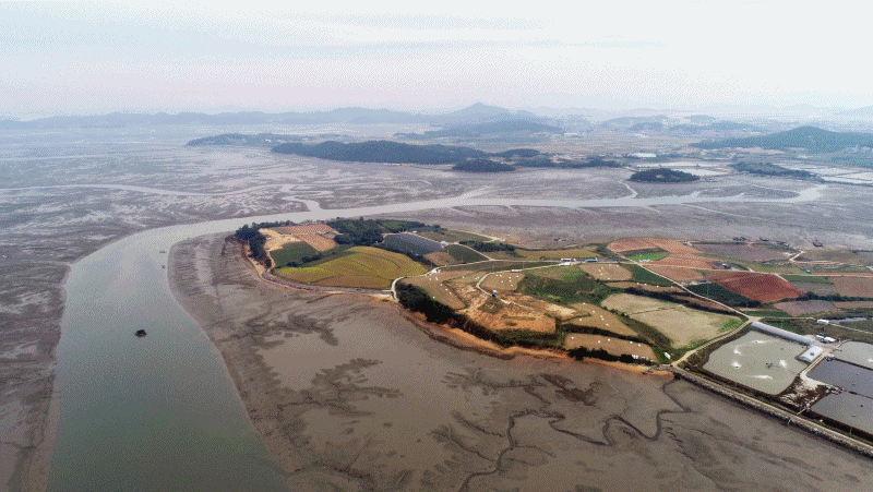 수천 년 동안 육상의 강으로부터 공급된 토사가 서해에 차곡차곡 쌓이면서 갯벌 퇴적층이 만들어진 것이다. 서해는 조차가 크고, 수심이 얕으며, 경사가 완만해서 갯벌이 잘 발달할 수 있는 천혜의 조건을 가지게 됐다. 지난해 7월 서남해안의 신안,서천,고창 보성·순천 갯벌의 유네스코 세계자연유산 등재되었다.(tif 파일이어서 26장의 사진이 연속해 넘어간다.)