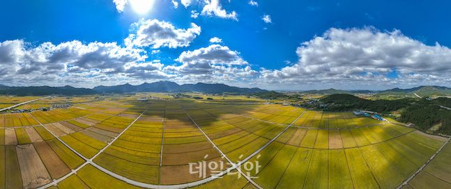 삼조유통 이미지