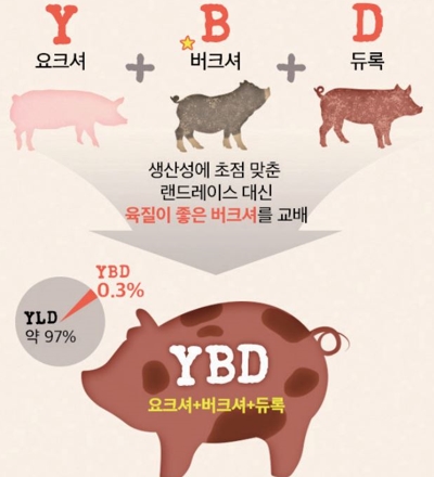 도드람한돈 이미지