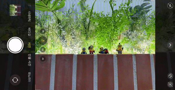 접사를 찍기 위해 피사체로 다가갈 때 렌즈가 바뀌는 것이 화면에 보여 신경쓰였다./사진=백유진 기자 byj@