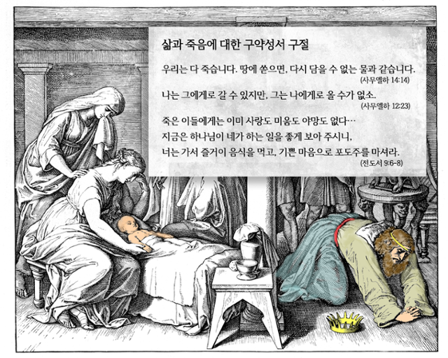 (주)샬롬 이미지