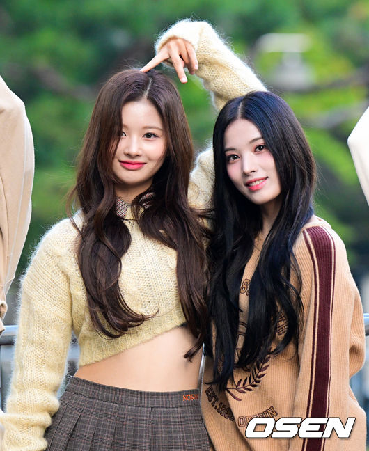 이리지니 이미지