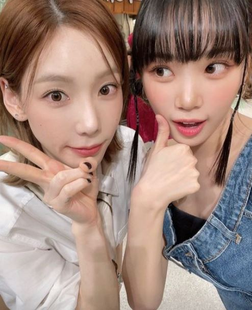 채원 이미지