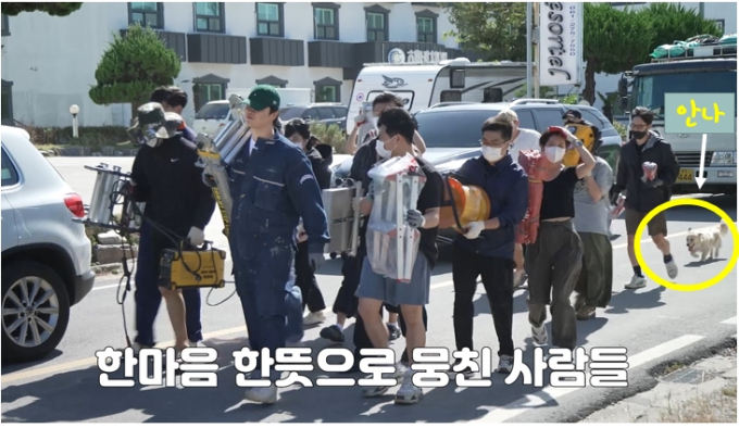 안나아일랜드 이미지