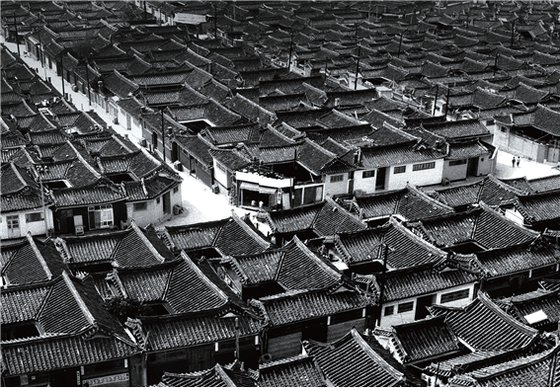 서울천막 이미지