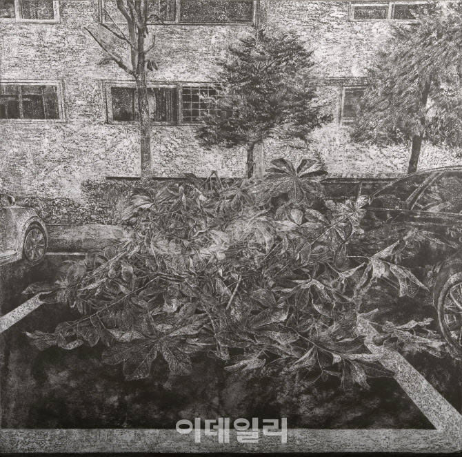 갤러리섬 이미지