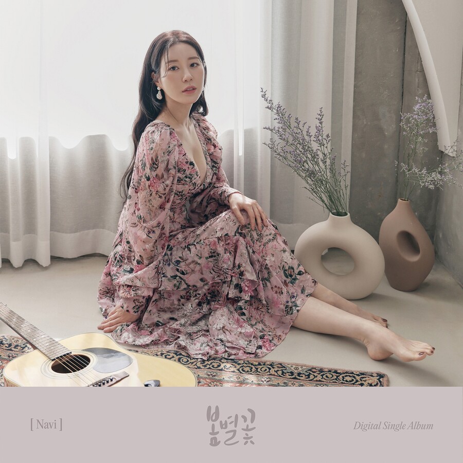 나비컴퍼니 이미지