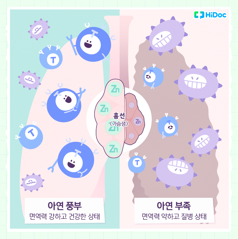 [영양소 탐험: 아연] 채식주의자라면 꼭 알아야 할 ‘아연’에 대한 이야기