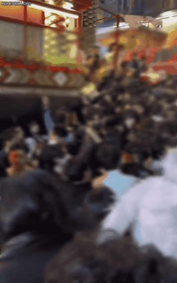 지난 29일 이태원 사고 발생 직전 상황으로 알려진 영상. 붐비는 골목에서 원활하게 통행이 이뤄지다가 한순간 사람들이 내리막으로 와르르 무너진다. 출처=온라인커뮤니티