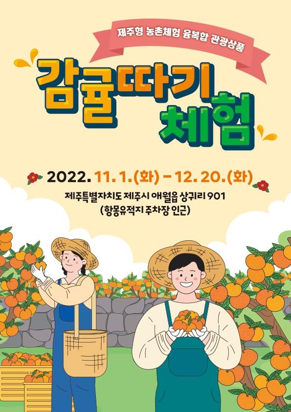 제주체험기획 이미지