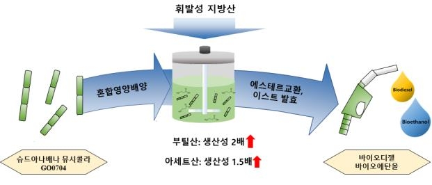 두바이오 이미지