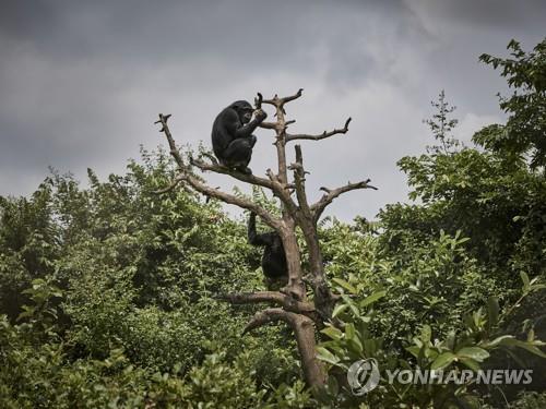 에덴석유 이미지