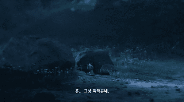 - 다양한 포켓몬이 공개되고 있다