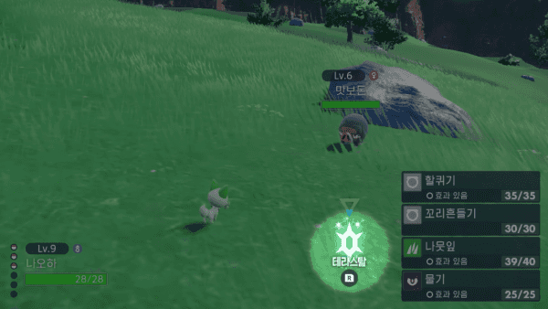 - 차별된 배틀의 재미를 선사할 새로운 진화 '테라스탈'