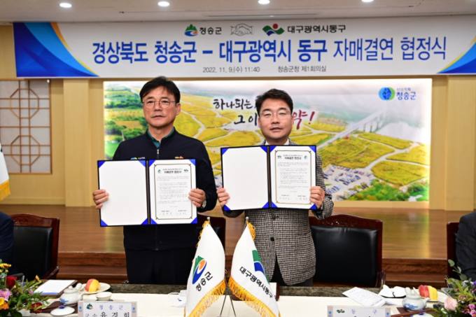 동구청 이미지