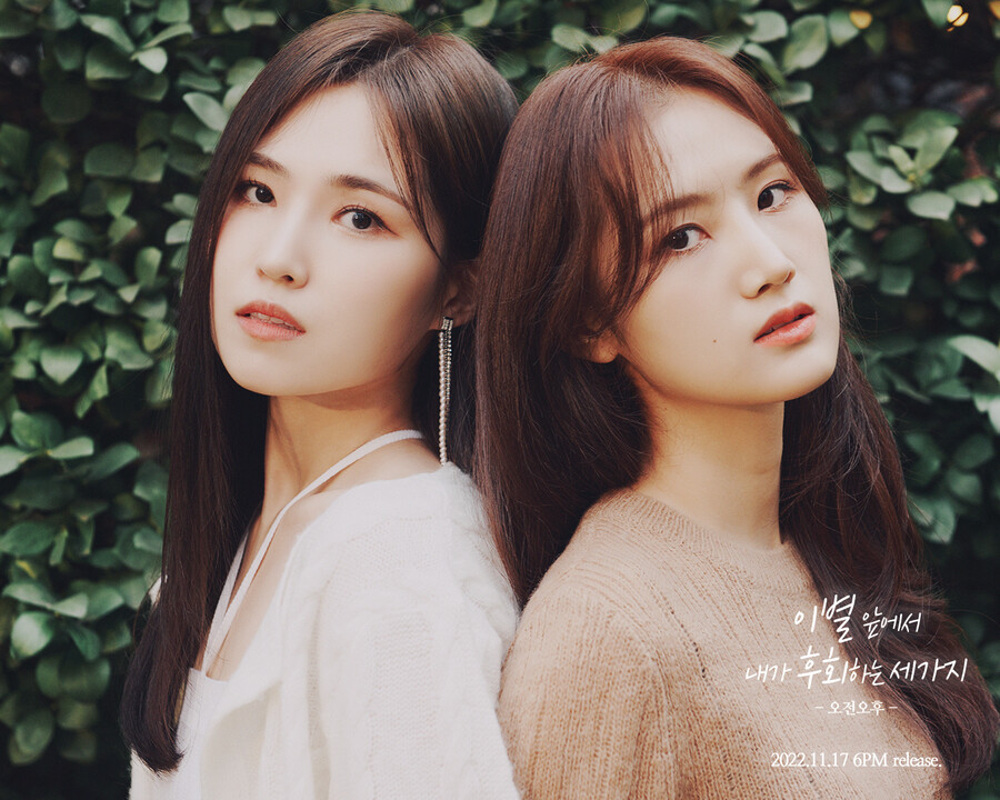오후엔 이미지