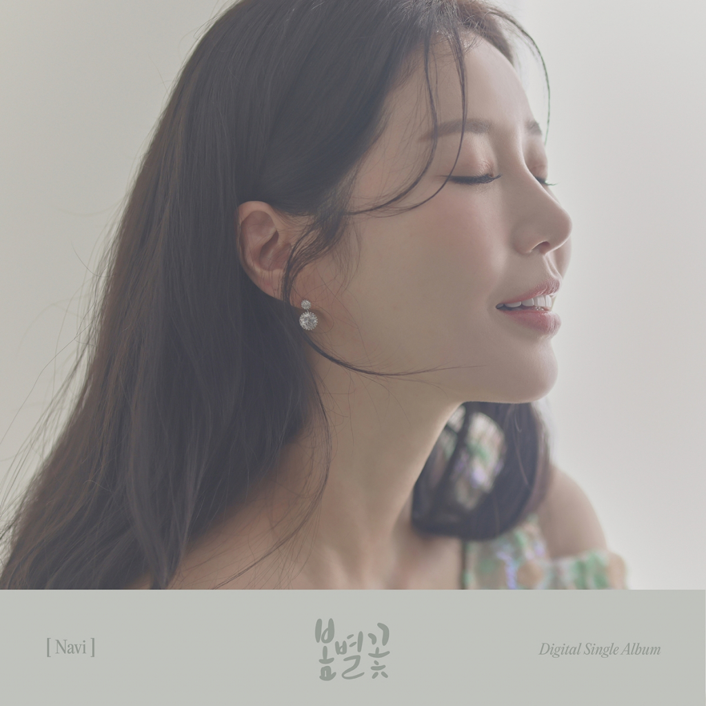 나비컴퍼니 이미지