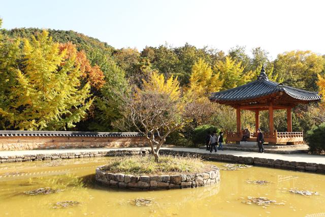 대국화원 이미지