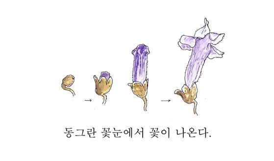 중앙악기 이미지