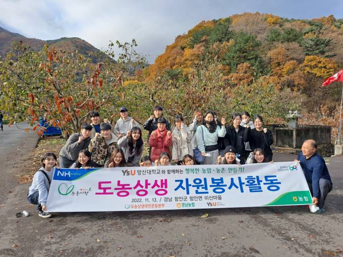 대봉인력 이미지
