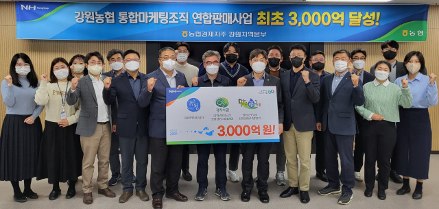 강원감자농협조합공동사업법인 이미지
