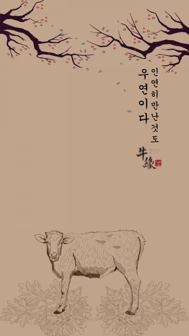장터쇼핑정육 이미지