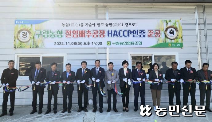 구림농협 절임배추 공장 이미지