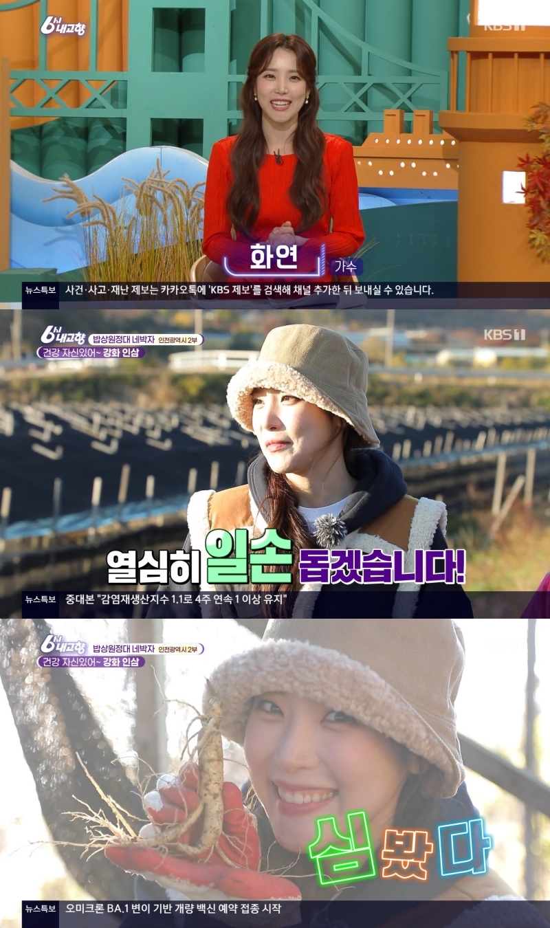 화연 이미지