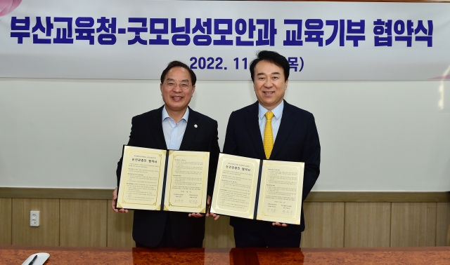 성모안과 이미지