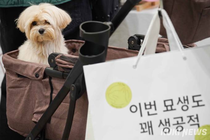 (주)쿠키 이미지
