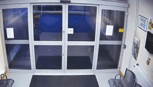 주인을 잃어버리고 경찰서에 들어온 강아지 '로지'/사진= 러프버러 경찰서 페이스북