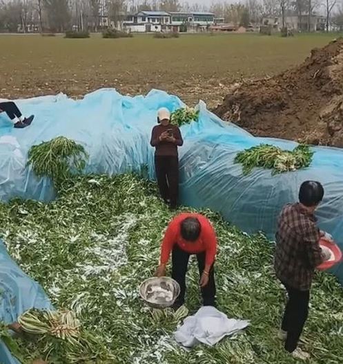 시장신발 이미지