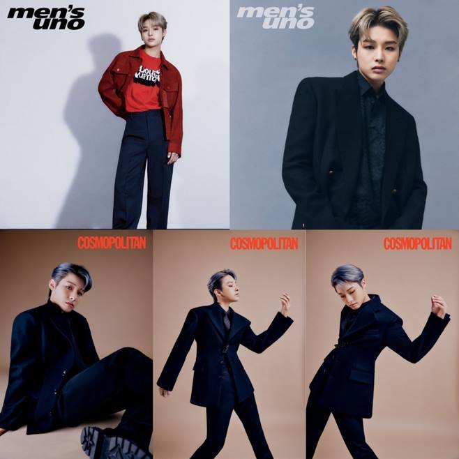 뉴비스 이미지
