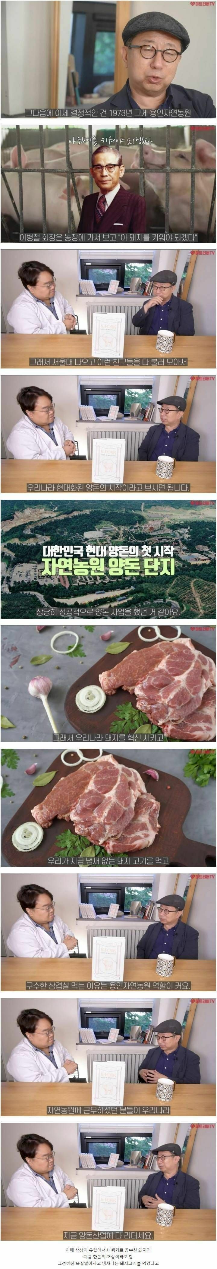 우리가 현재 삼겹살을 먹을수 있게 만들어준 장본인 | 인스티즈