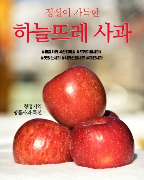 롯데마트 제천점 이미지