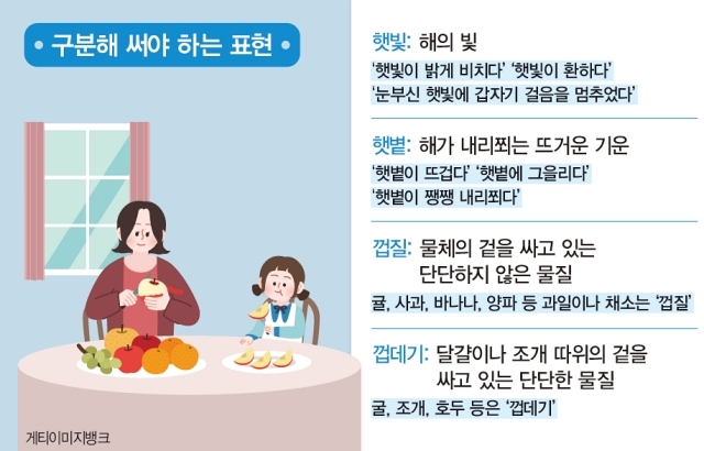 '햇빛, 햇볕, 햇살' 어떻게 다를까? | 정책주간지 공감
